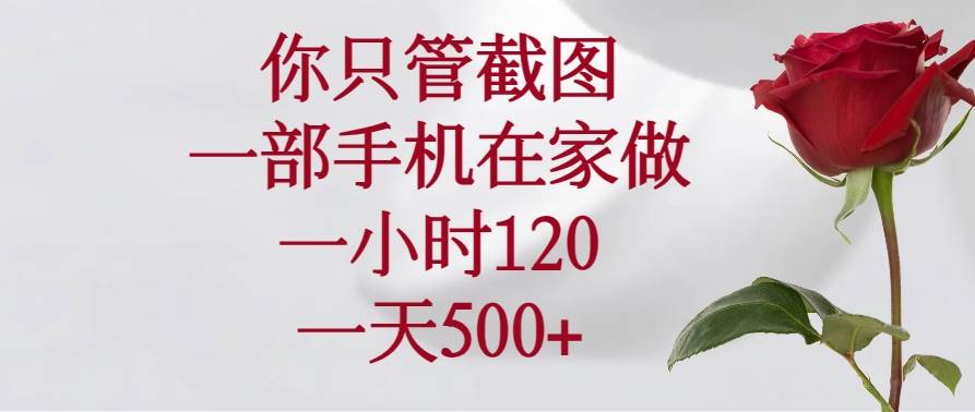 （14248期）你只管截图，一部手机在家做，一小时120，一天500+-问小徐资源库