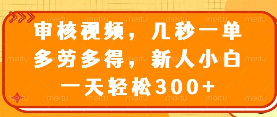 （14294期）审核视频，几秒一单，多劳多得，新人小白一天轻松300+-问小徐资源库