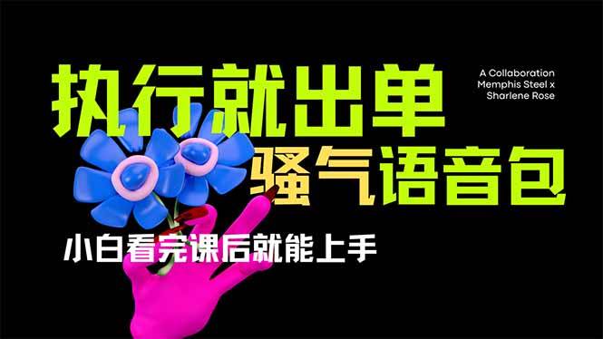 （14170期）爆火全网的开车导航骚气语音包,只要执行就出单，小白看完课程就能实操…-问小徐资源库