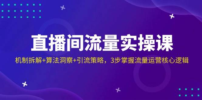 （14122期）直播间流量实操课：机制拆解+算法洞察+引流策略，3步掌握流量运营核心逻辑-问小徐资源库
