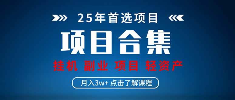 （14175期）2025 实操项目合集 挂机类型 直播类型 轻资产创业类型 课程分享各项目…-问小徐资源库