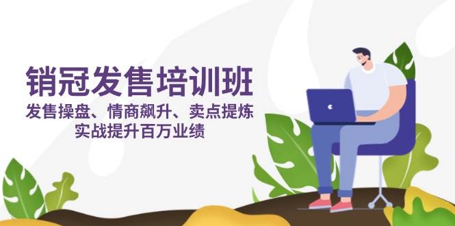 （14203期）销冠 发售培训班：发售 操盘+情商 飙升+卖点 提炼，实战提升百万业绩-问小徐资源库