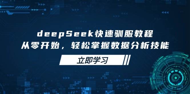 （14536期）deepSeek快速驯服教程，从零开始，轻松掌握数据分析技能-问小徐资源库