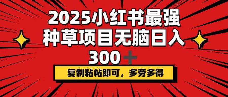 （14375期）2025小红书最强种草项目，无脑日入300+，复制粘帖即可，多劳多得-问小徐资源库
