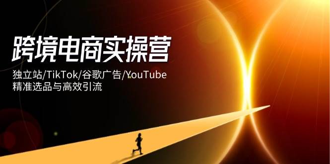 （14419期）跨境电商实操营：独立站/TikTok/谷歌广告/YouTube，精准选品与高效引流-问小徐资源库