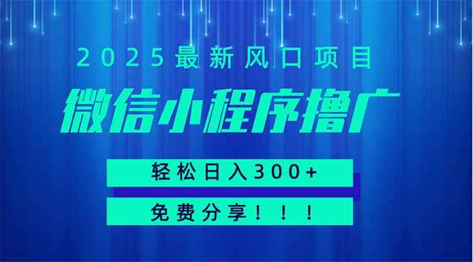 （14375期）微信小程序撸广，最新风口项目，日入300+ 免费分享 可批量操作 小白可…-问小徐资源库