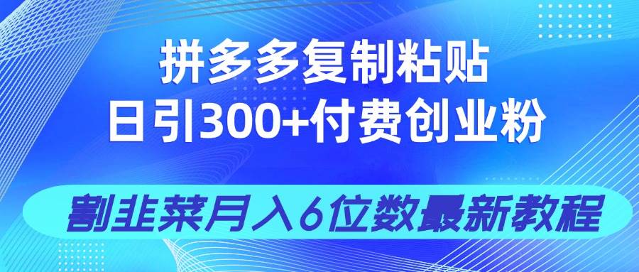 （14232期）拼多多复制粘贴日引300+付费创业粉，割韭菜月入6位数最新教程！-问小徐资源库