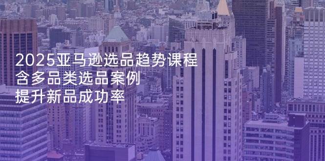 （14434期）2025亚马逊选品趋势课程，含多品类选品案例，提升新品成功率-问小徐资源库