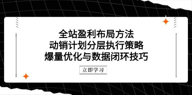 （14698期）全站盈利布局方法：动销计划分层执行策略，爆量优化与数据闭环技巧-问小徐资源库