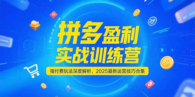 （15183期）拼多多盈利实战训练营，强付费玩法深度解析，2025运营技巧合集-更新6月-问小徐资源库