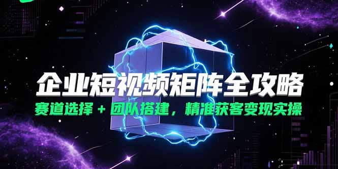 （15242期）企业短视频矩阵全攻略，赛道选择+团队搭建，精准获客变现实操-问小徐资源库