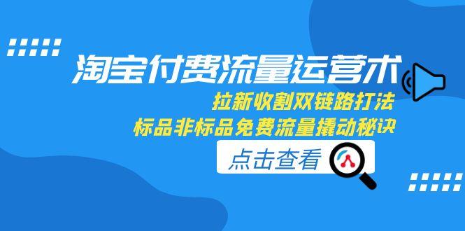 （15135期）淘宝付费流量运营术，拉新收割双链路打法，标品非标品免费流量撬动秘诀-问小徐资源库
