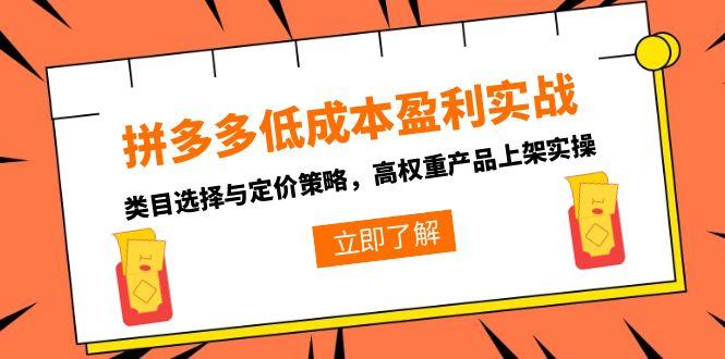 （15143期）拼多多低成本盈利实战，类目选择与定价策略，高权重产品上架实操-问小徐资源库