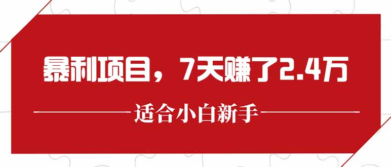 （15228期）最新暴利项目，每单收益轻松在300以上，7天赚了2.4万-问小徐资源库