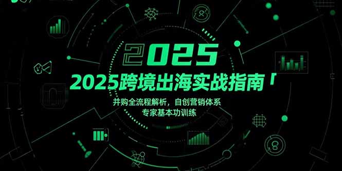 （15503期）2025跨境出海实战指南，并购全流程解析，自创营销体系，专家基本功训练-问小徐资源库