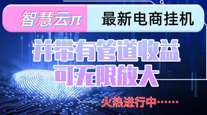 （15314期）智慧云π电脑挂机单机每天收益300—500+ 并带有团队管道收益 可无限放大-问小徐资源库