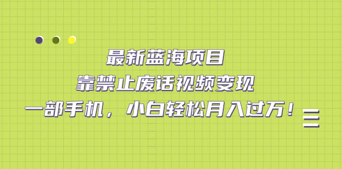 最新蓝海项目，靠禁止废话视频变现，一部手机，小白轻松月入过万！-问小徐资源库