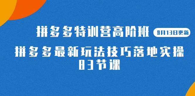 2023拼多多·特训营高阶班【9月13日更新】拼多多最新玩法技巧落地实操-83节-问小徐资源库