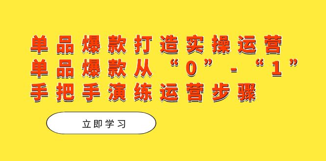 单品爆款打造实操运营，单品爆款从“0”-“1”手把手演练运营步骤-问小徐资源库