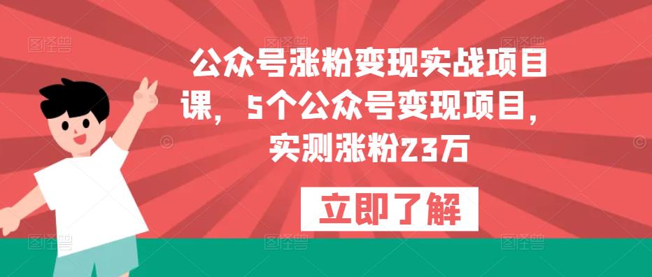 公众号涨粉变现实战项目课，5个公众号变现项目，实测涨粉23万-问小徐资源库