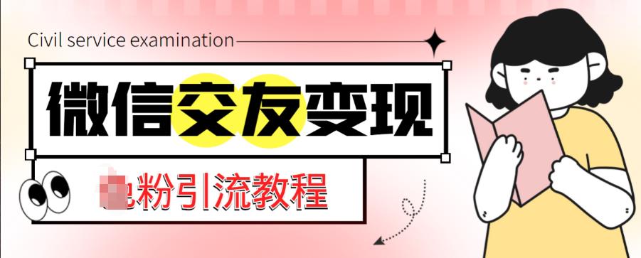 微信交友变现项目，吸引全网LSP男粉精准变现，小白也能轻松上手，日入500+-问小徐资源库