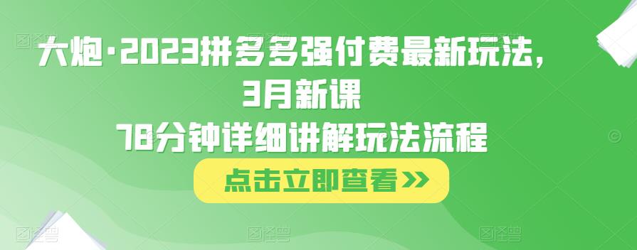 大炮·2023拼多多强付费最新玩法，3月新课​78分钟详细讲解玩法流程-问小徐资源库