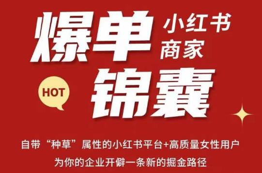 无畏·小红书商家爆单锦囊，掌握小红书各大规则，快速精准抢占行业和市场-问小徐资源库