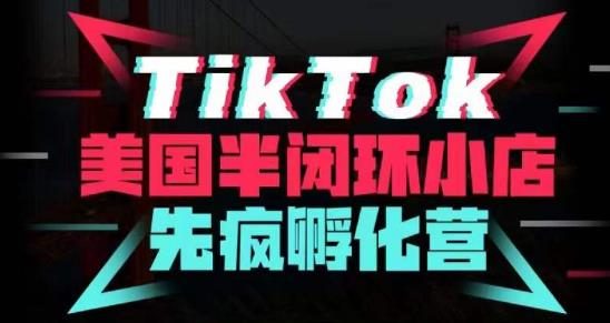 疯人院·TikTok美国半闭环小店孵化营，抢占TikTok美国蓝海市场，开店、运营、带货、投流全实操-问小徐资源库