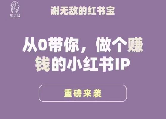谢无敌·小红书运营大宝典，从0带你做个赚钱的小红书IP-问小徐资源库