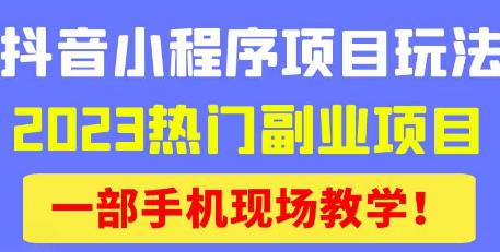 抖音小程序9.0新技巧，2023热门副业项目，动动手指轻松变现-问小徐资源库