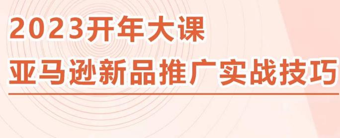2023亚马逊新品推广实战技巧，线下百万美金课程的精简版，简单粗暴可复制，实操性强的推广手段-问小徐资源库