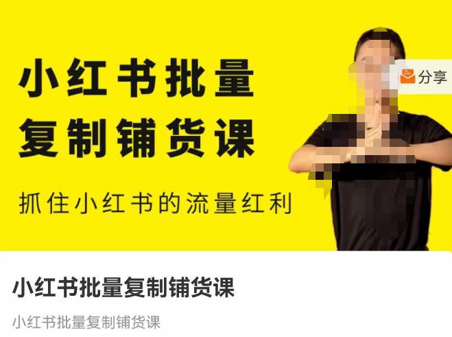 张宾·小红书批量复制铺货课，抓住小红书的流量红利 （更新2023年2月）-问小徐资源库
