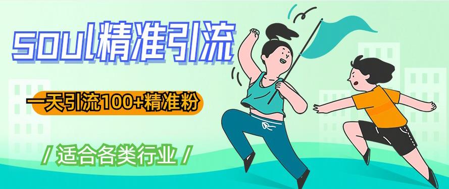 soul精准引流系列课程，一天引流100+精准粉，适合各类行业-问小徐资源库