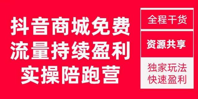 抖音商城搜索持续盈利陪跑成长营，抖音商城搜索从0-1、从1到10的全面解决方案-问小徐资源库