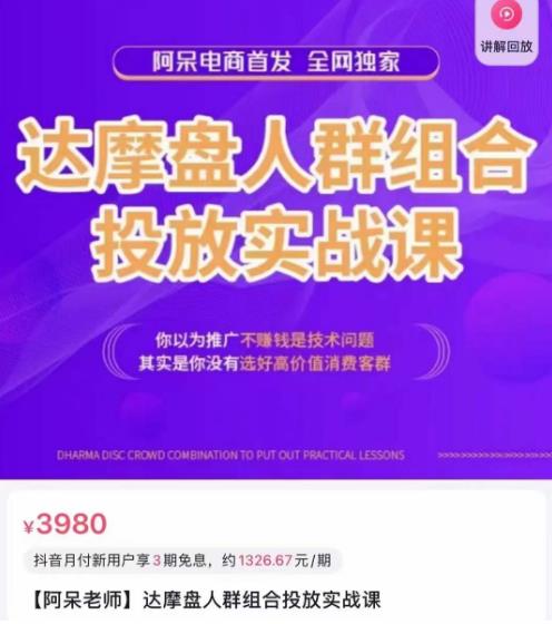 阿呆电商·达摩盘人群组合投放实战课，你以为推广不赚钱是技术问题，其实是你没有选好高价值消费客群-问小徐资源库