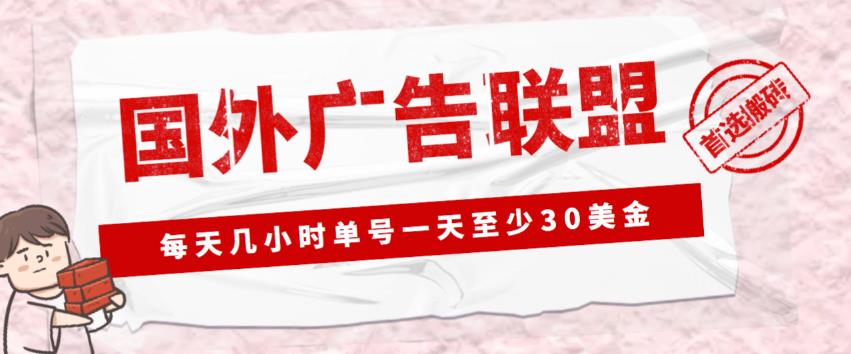外面收费1980的最新国外LEAD广告联盟搬砖项目，单号一天至少30美金【详细玩法教程】-问小徐资源库