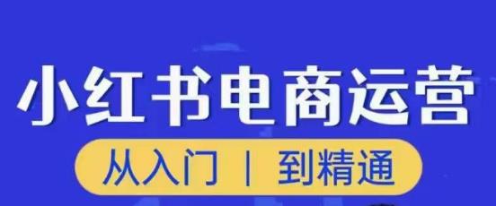 顽石小红书电商高阶运营课程，从入门到精通，玩法流程持续更新-问小徐资源库
