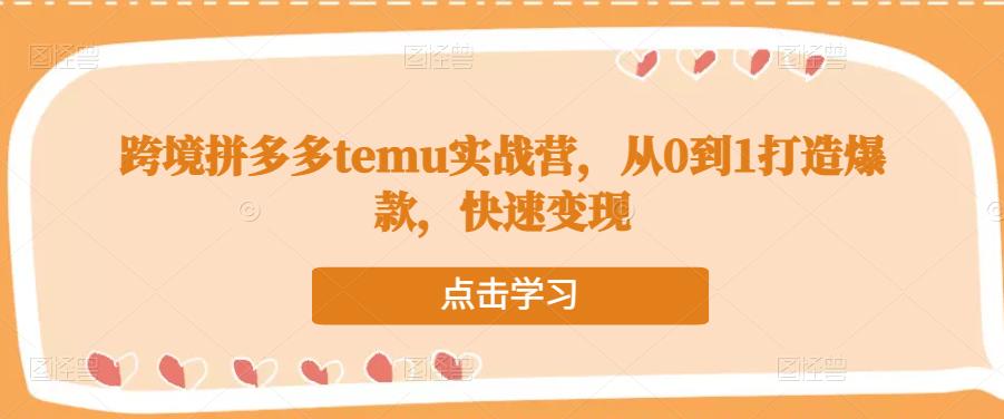 跨境拼多多temu实战营，从0到1打造爆款，快速变现-问小徐资源库
