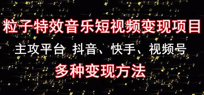 黄岛主《粒子特效音乐短视频变现项目》主攻平台抖音、快手、视频号多种变现方法-问小徐资源库