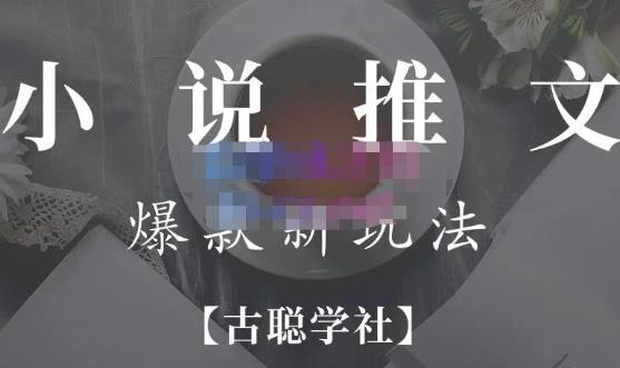 小说推文矩阵号群爆单新玩法，引流技巧+爆款实操+矩阵号玩法，百倍效益、百万播放秘笈-问小徐资源库