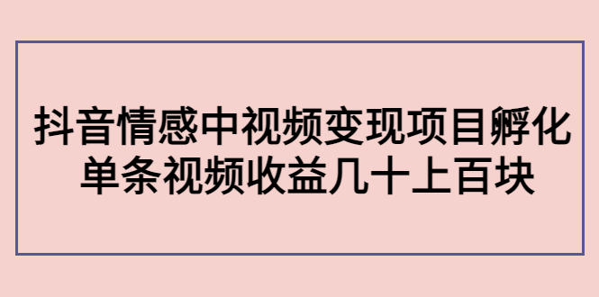 副业孵化营第5期：抖音情感中视频变现项目孵化 单条视频收益几十上百-问小徐资源库