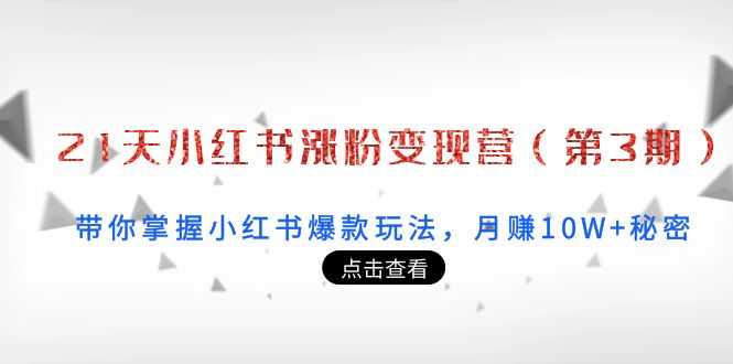 21天小红书涨粉变现营：带你掌握小红书爆款玩法，月赚10W+秘密-问小徐资源库
