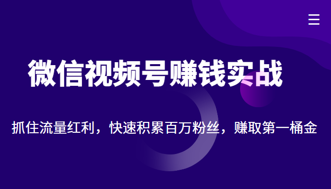 微信视频号赚钱实战：抓住流量红利，快速积累百万粉丝，赚取你的第一桶金-问小徐资源库