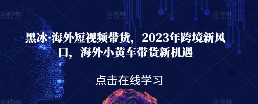 黑冰·海外短视频带货，2023年跨境新风口，海外小黄车带货新机遇-问小徐资源库