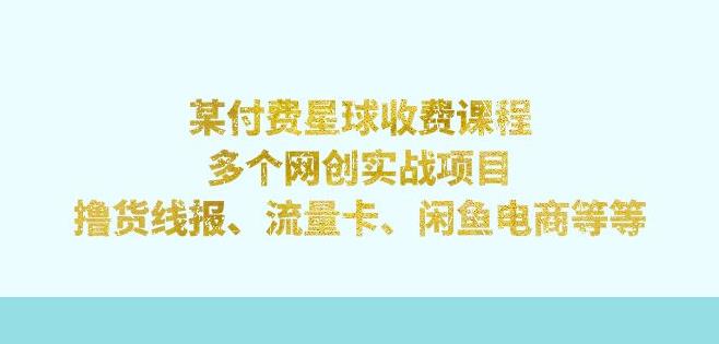 某付费星球课程：多个网创实战项目，撸货线报、流量卡、闲鱼电商等（文档非视频）-问小徐资源库