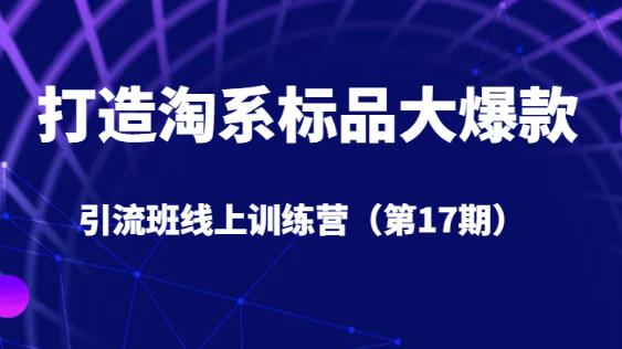 打造淘系标品大爆款引流班线上训练营5天直播授课-问小徐资源库