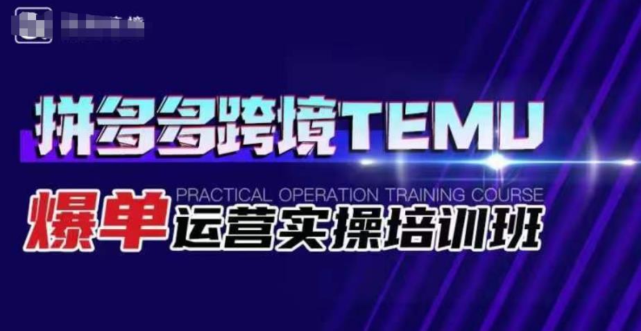拼多多跨境TEMU爆单运营实操培训班，海外拼多多的选品、运营、爆单-问小徐资源库