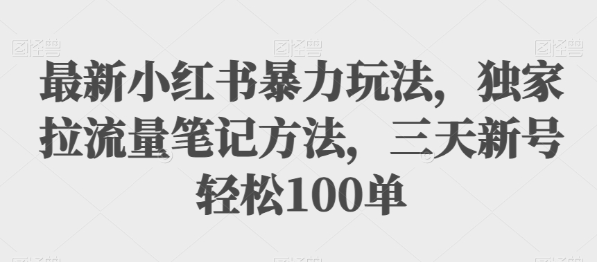最新小红书暴力玩法，独家拉流量笔记方法，三天新号轻松100单【揭秘】-问小徐资源库