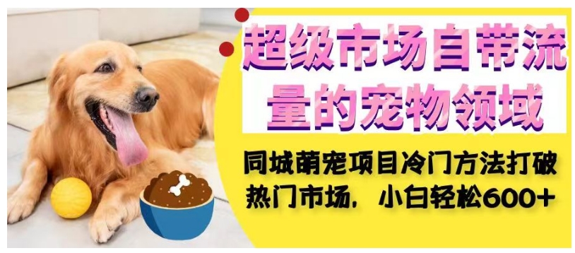超级市场自带流量的宠物领域，同城萌宠项目冷门方法打破热门市场，小白轻松600+-问小徐资源库