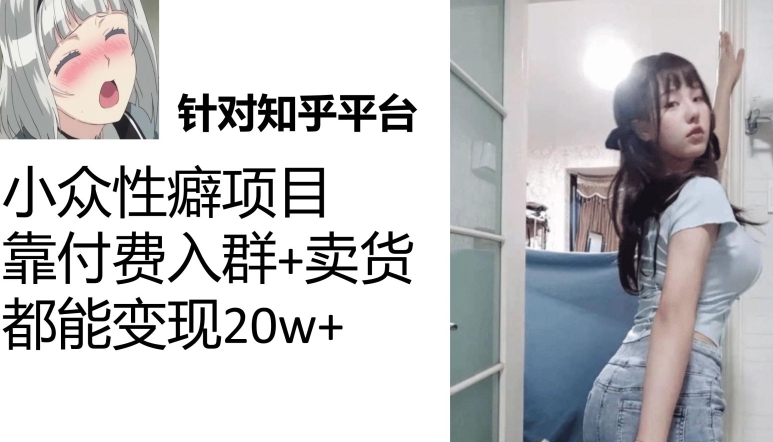 一个月入袋3w，知乎小众性癖项目，Lsp的钱才是最好赚的【揭秘】-问小徐资源库